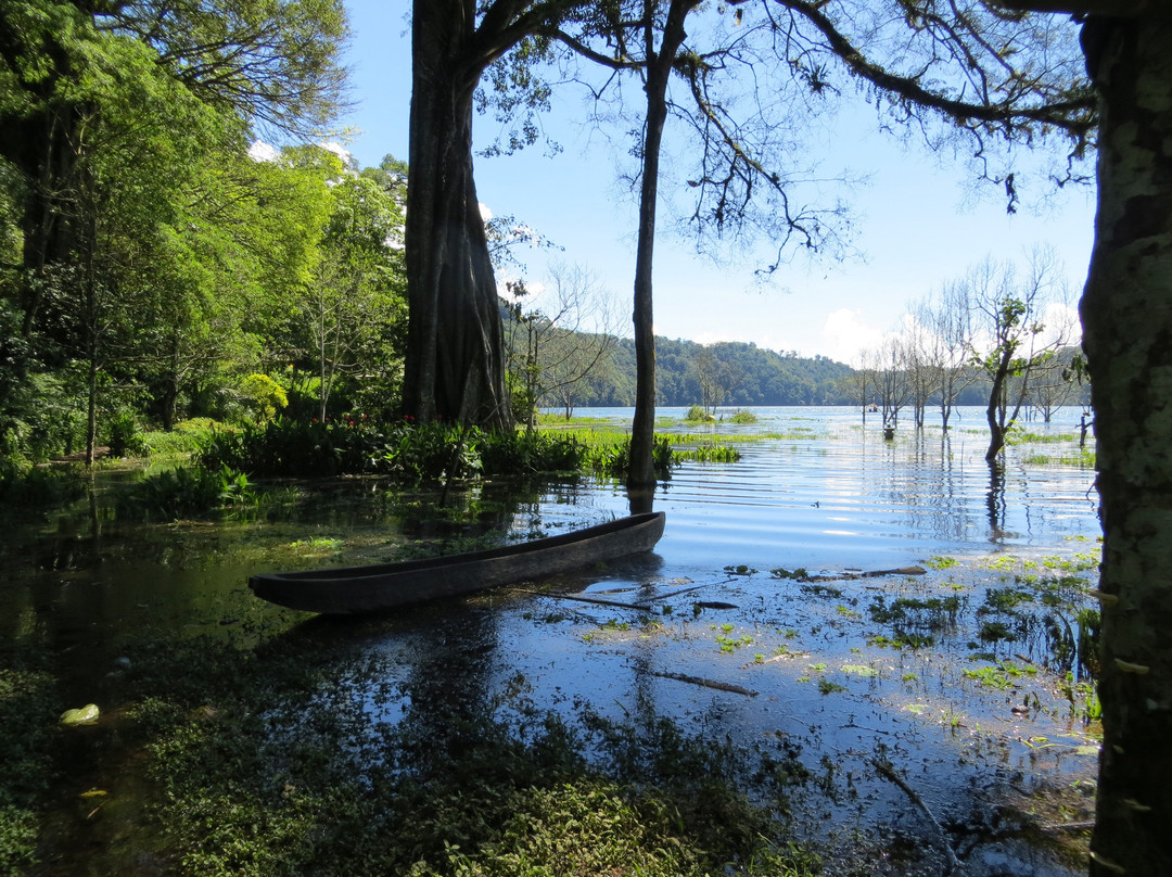 Terrasse du Lac Tamblingan Sari景点图片