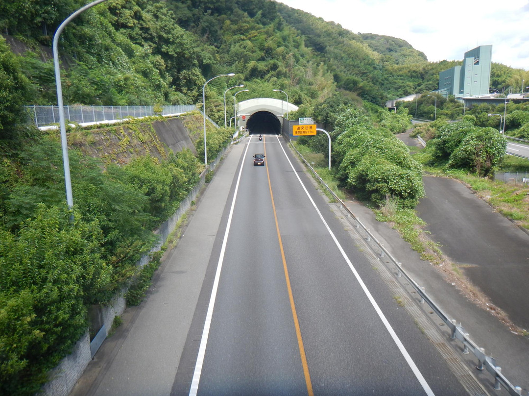 岛本町旅游攻略图片