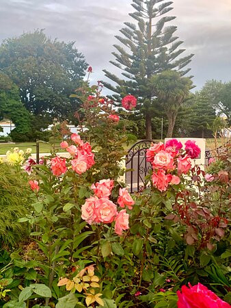 Birchwood, Devonport Self contained Accommodation主图