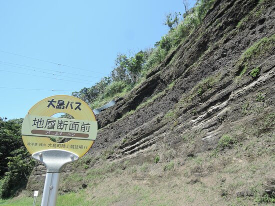 Faulted Strata in Oshima-大岛町必去景点
