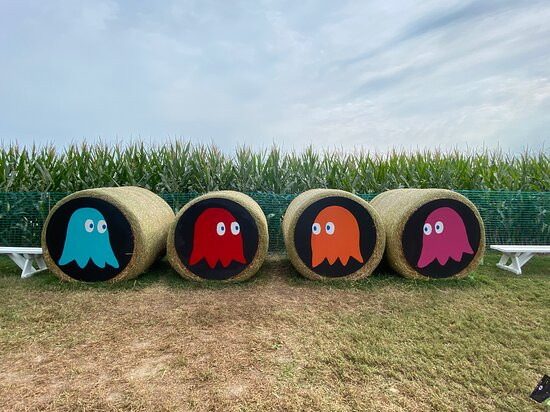 Fifer's Farm Store & Kitchen-Wyoming必去景点