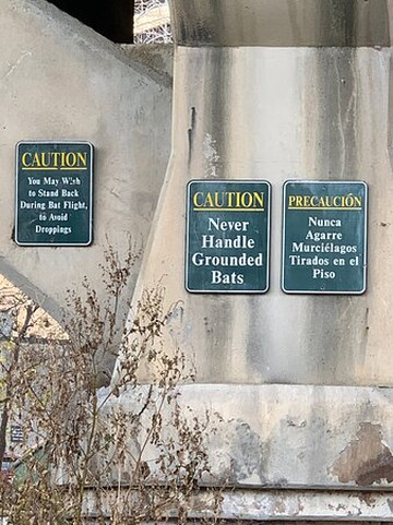 Barton Springs Bike Rentals & Tours-奥斯丁必去景点