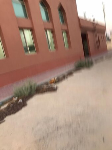 Hamad Al Saleh Al Ibrahim Mosque