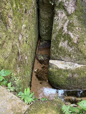 Parque Nascentes Do Tiete-Salesopolis必去景点