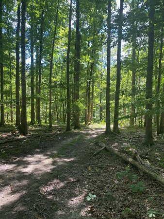 Boone Hollow Wildlife Preserve-Dover必去景点