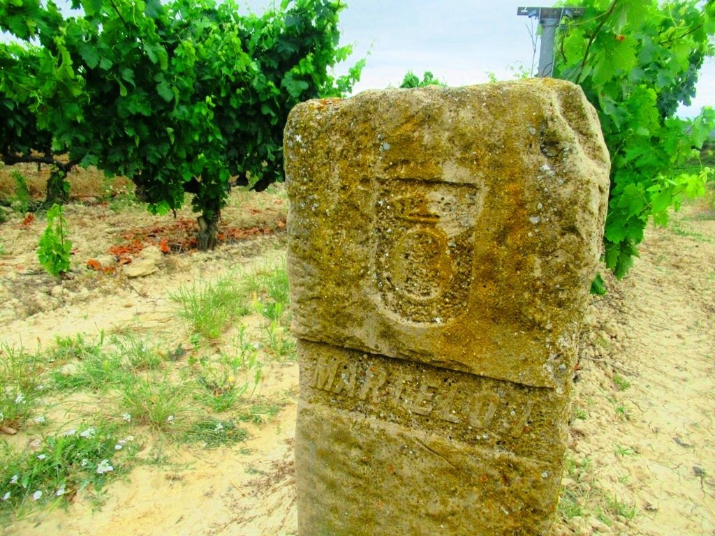 Bodega Torre de Ona-拉瓜迪亚必去景点