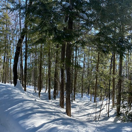 Geos Spa Sacacomie-Saint-Alexis-des-Monts必去景点