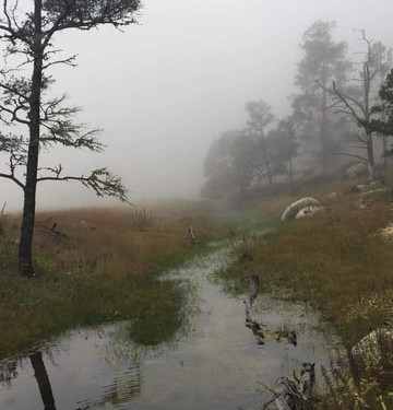 Sierra de la Laguna Mountains-洛斯卡布斯必去景点