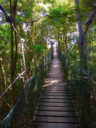 Lamington National Park景点图片