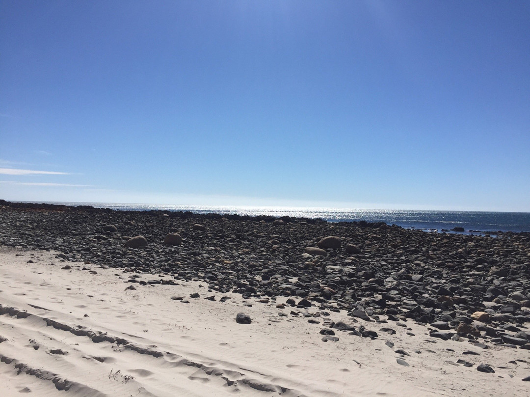 Morgan Beach-Cape Jervis必去景点