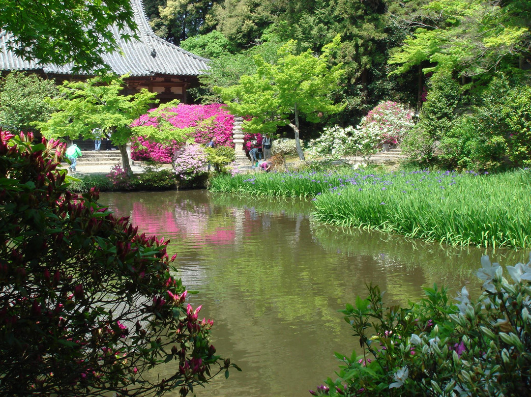 Chogaku-ji Temple景点图片