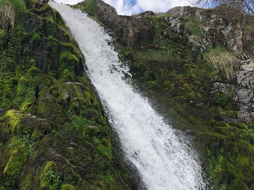 Ingram旅游攻略图片