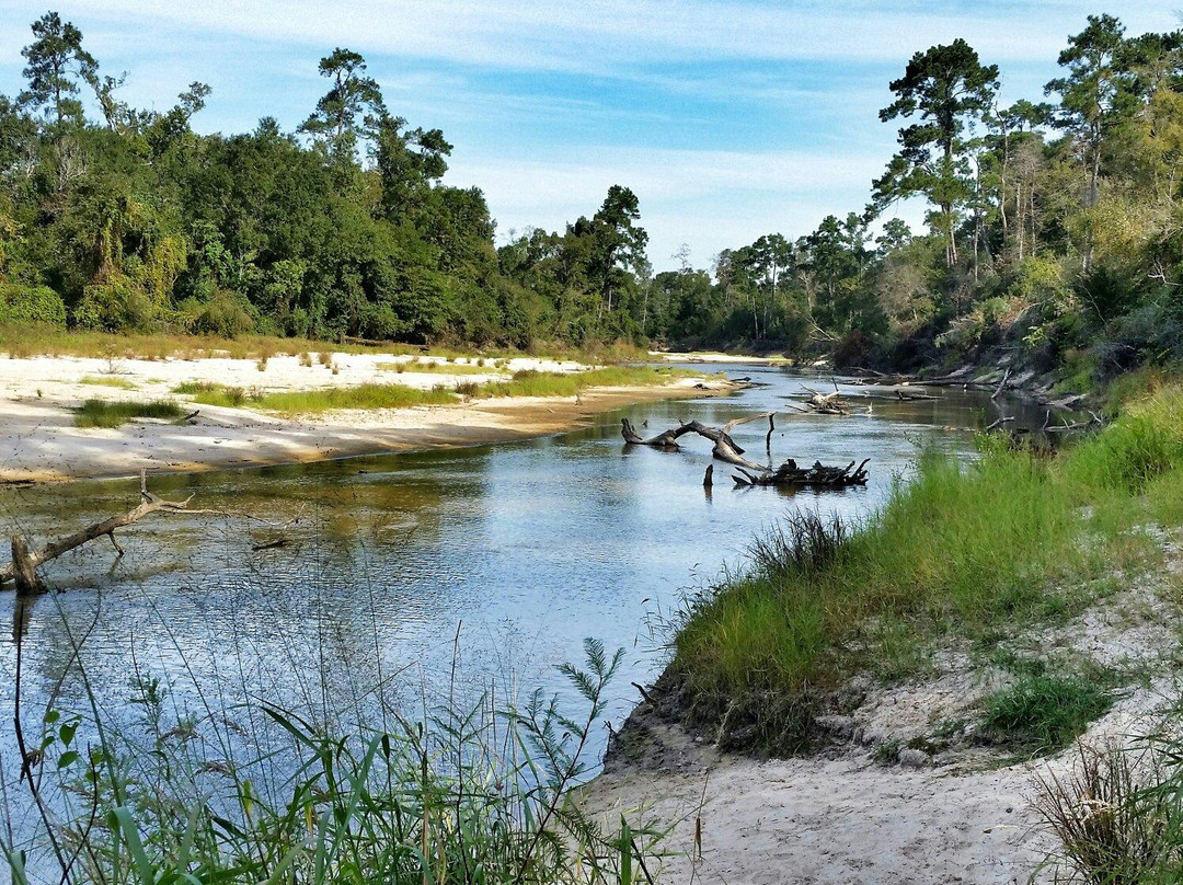 Lumberton旅游攻略图片