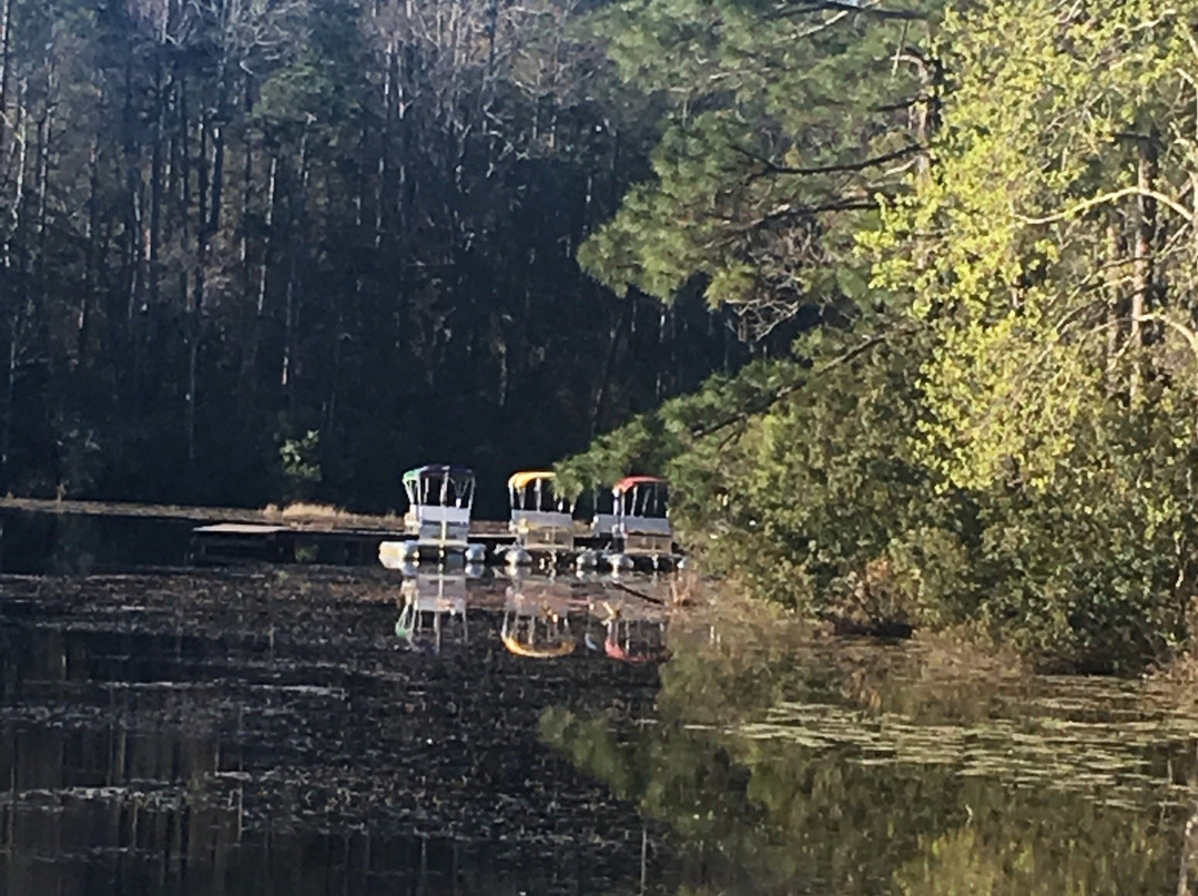 Gordonia Altamaha State Park-Reidsville必去景点