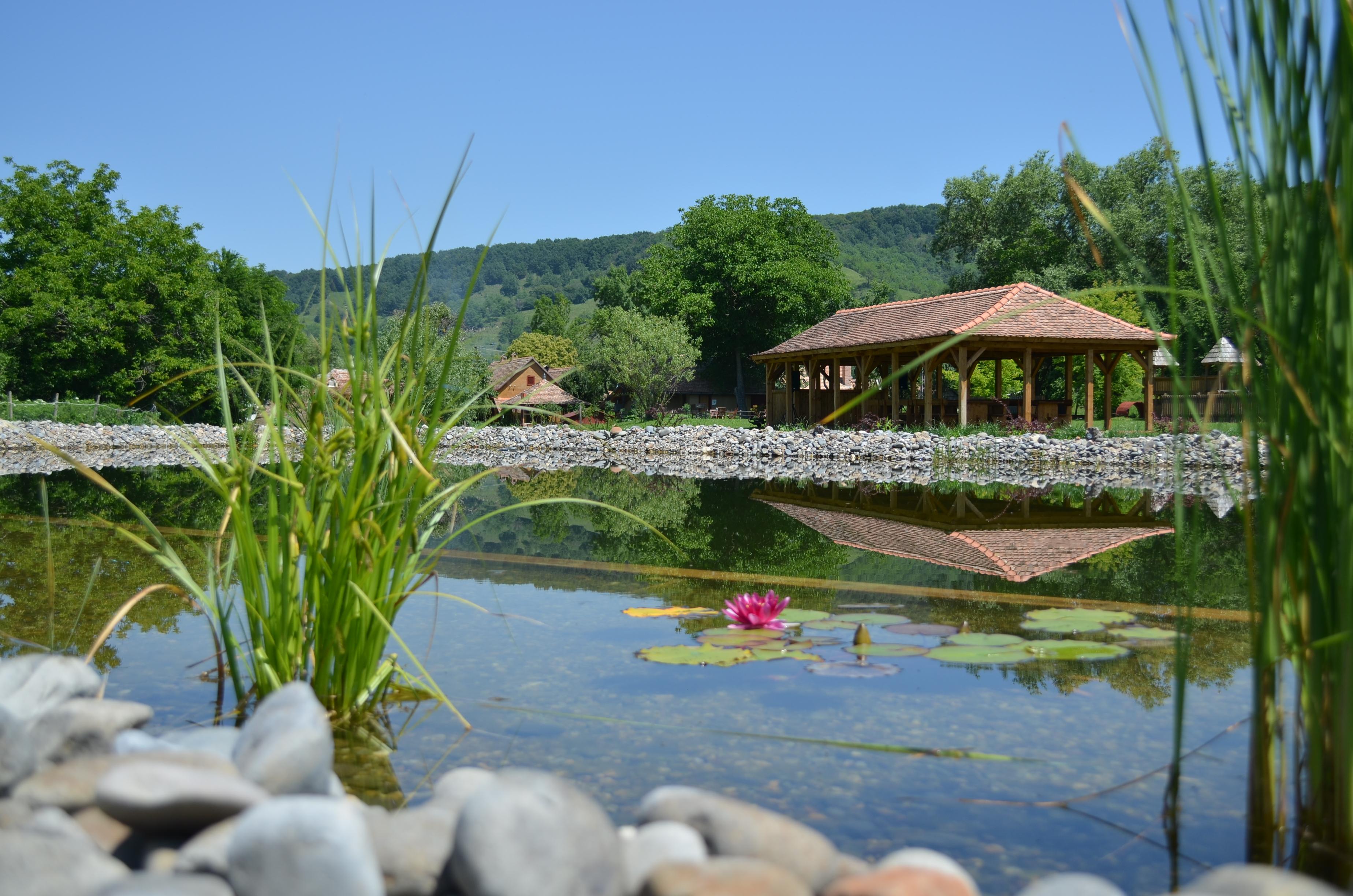 Herberge Tausch Guesthouse-客卧