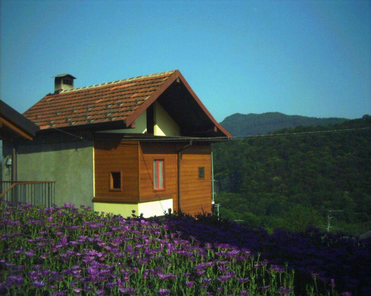 B&B Cip e Ciop-官方