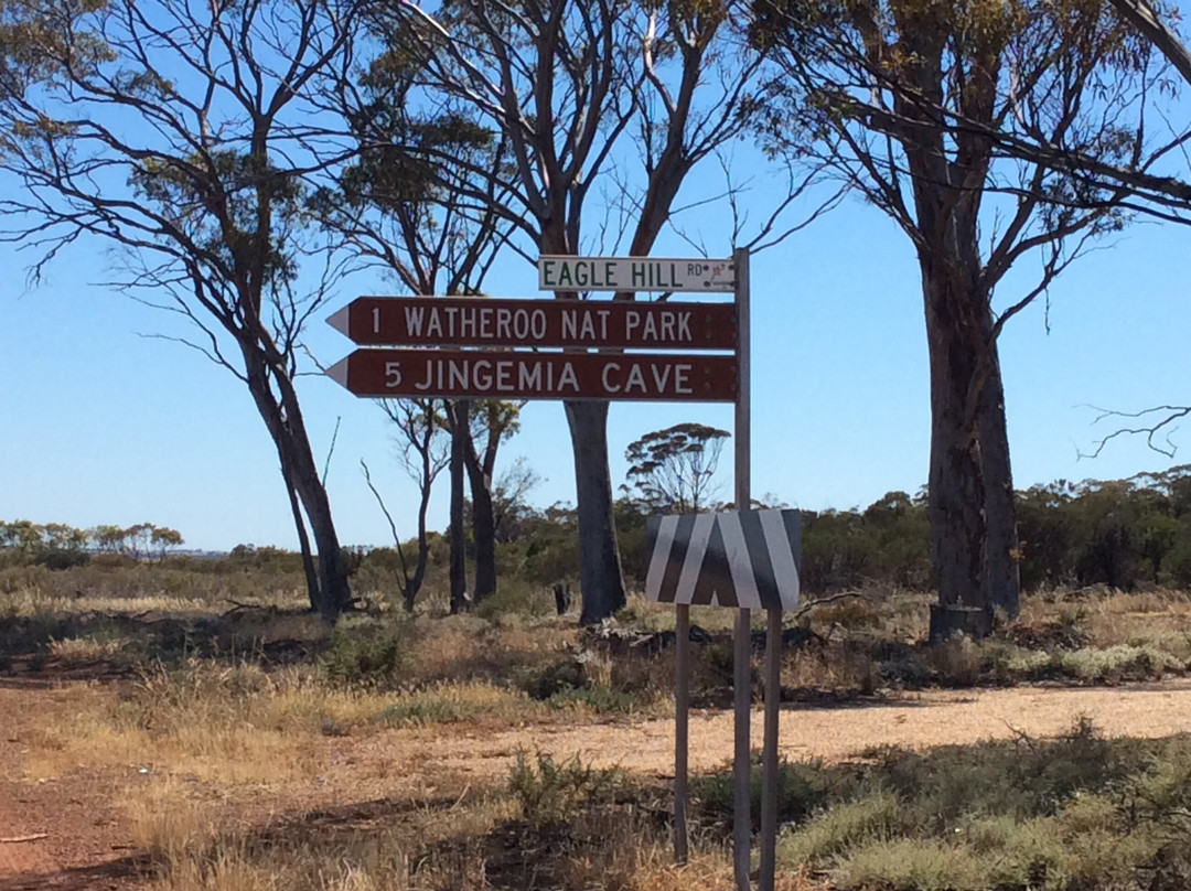 Watheroo旅游攻略图片