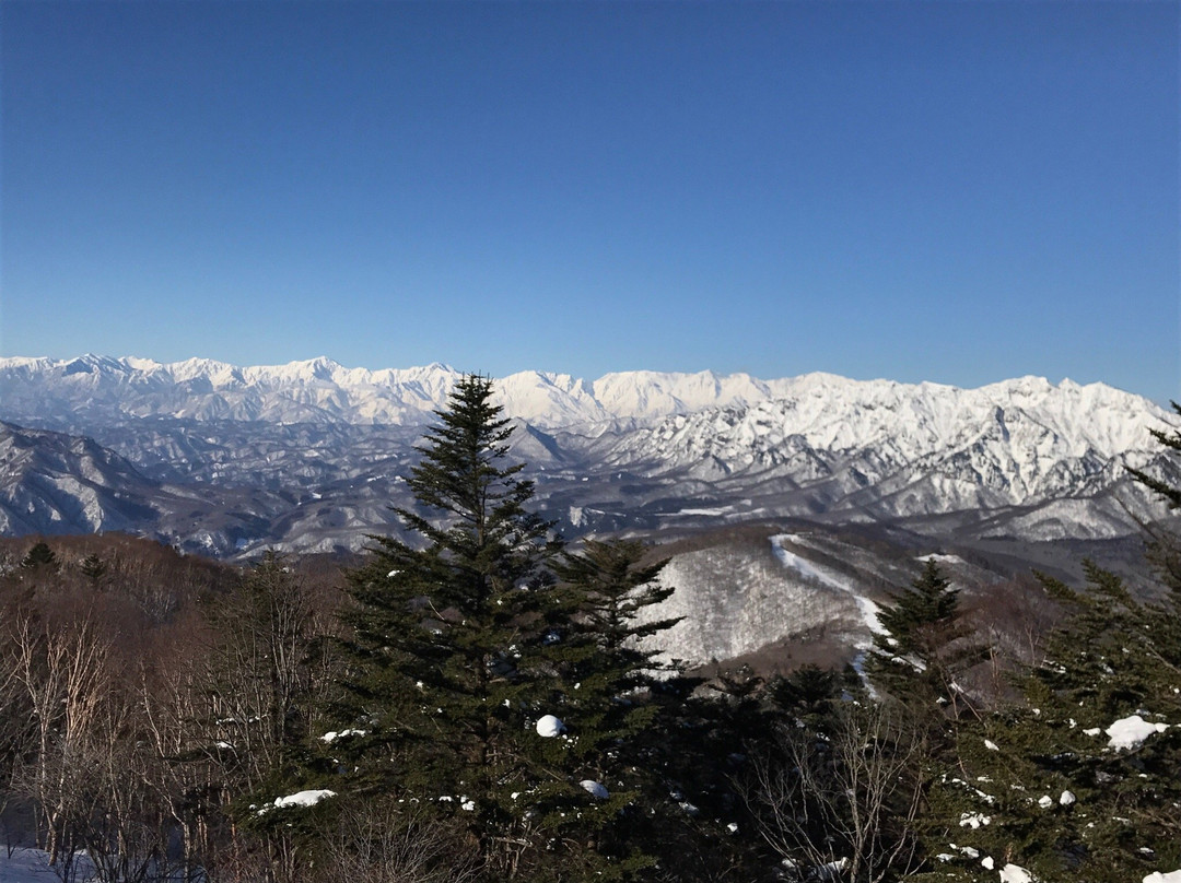 Togakushi Ski Area景点图片