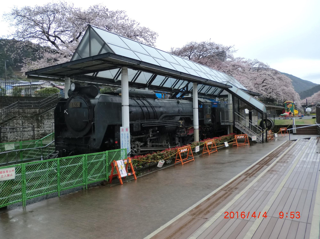 Yamakita Town Railway Park景点图片