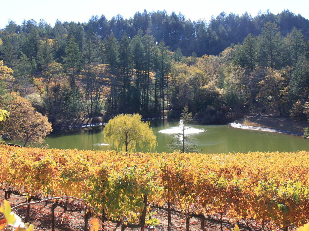 Sherwin Family Vineyards