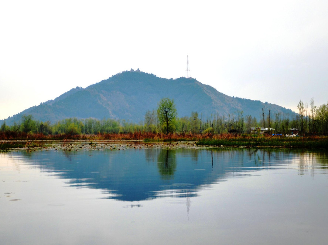 Nigeen Lake景点图片