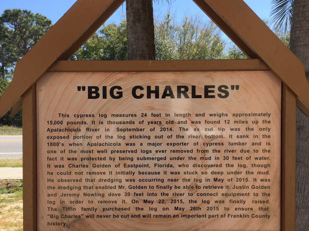 Big Charles, Famous Log景点图片
