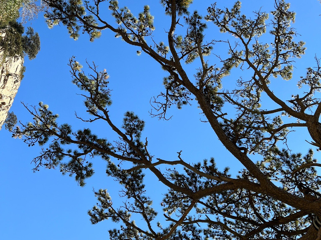恒山森林公园-浑源县必去景点