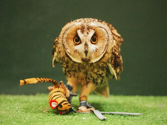 Soviny Dom  Anticafe-莫斯科必去景点