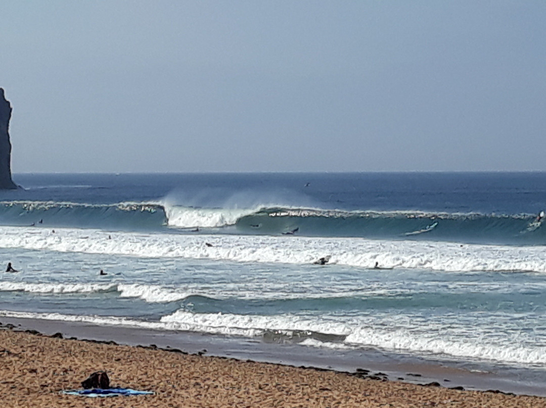 SurfPlanet Surf School-萨格里什必去景点