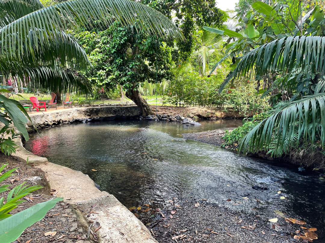 Sabalo Lodge