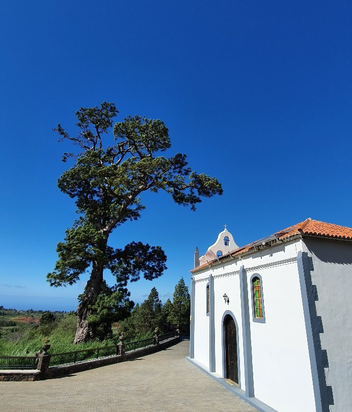 Ermita de la Virgen del Pino景点图片