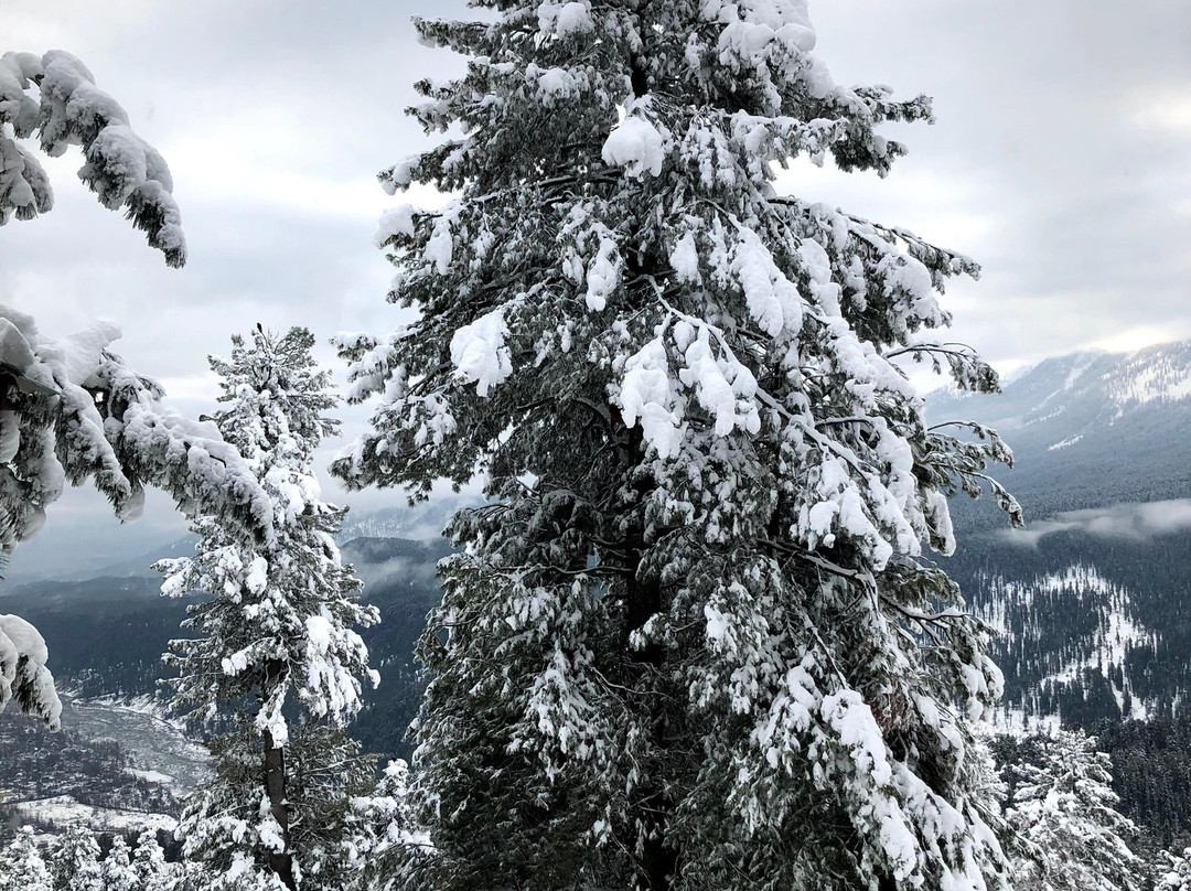 Shaw Resort 11主图