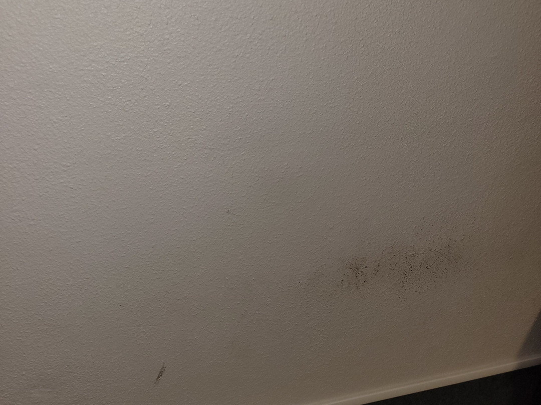 B&B HOTEL Maubeuge Louvroil主图