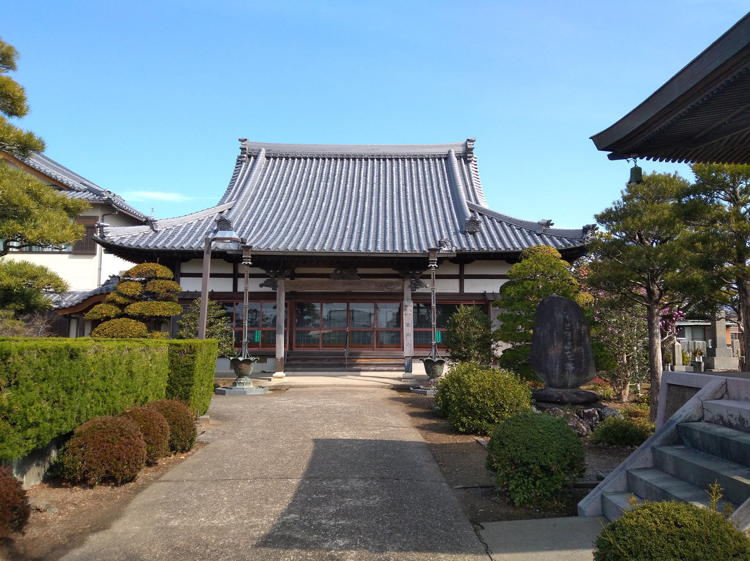 Maidenhair Tree of Manraku-ji Temple-御坊市必去景点