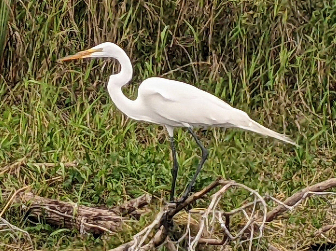 Oasis Visitor Center-奥乔皮必去景点
