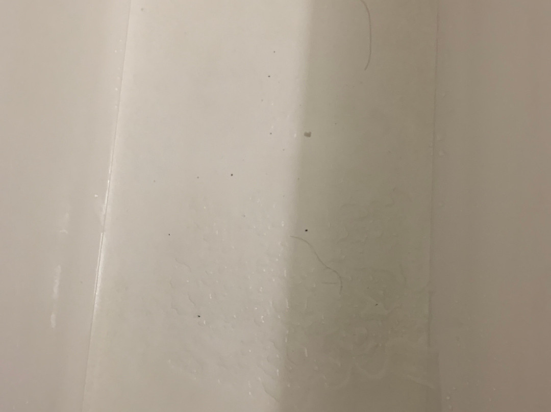 Quality Inn Zephyrhills - Dade City主图