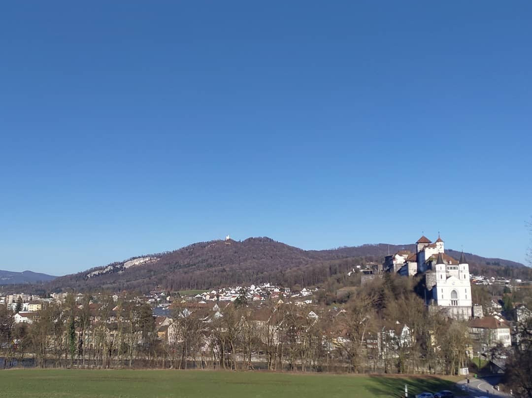 Festung Aarburg景点图片