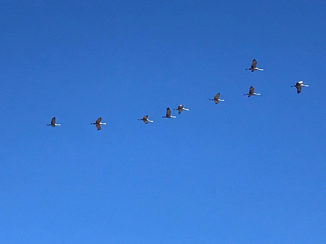 Wheeler National Wildlife Refuge景点图片