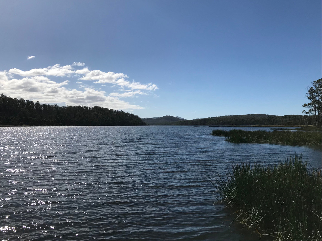 Four Springs Lake景点图片