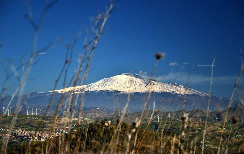 Sicily Shore Tours景点图片
