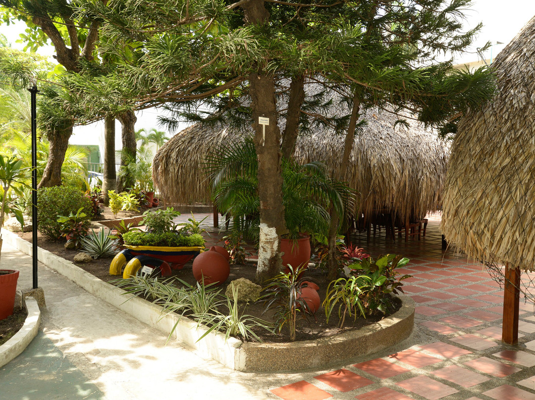 巴伊亚卡塔赫纳酒店主图