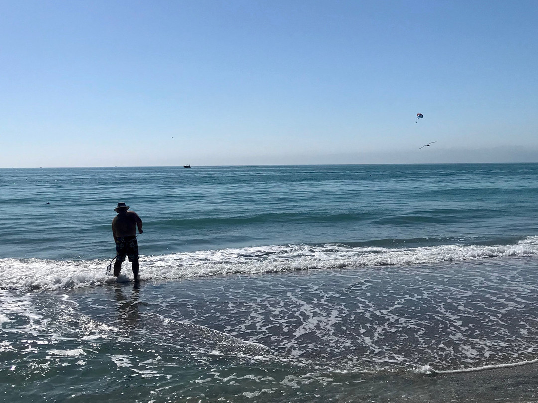 Stump Pass Beach State Park-恩格尔伍德必去景点