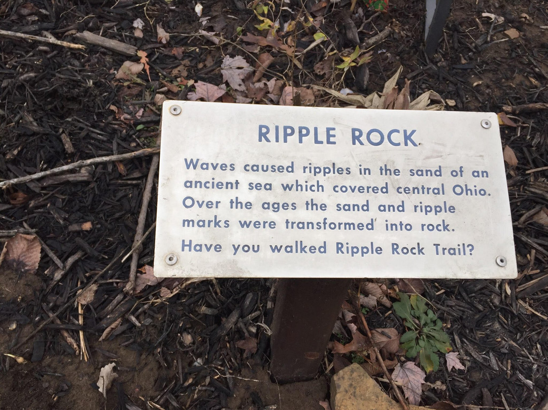 Blendon Woods Park-韦斯特维尔必去景点