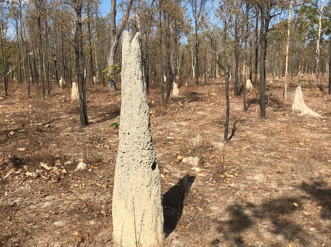 Great Northern Tours-库克敦必去景点