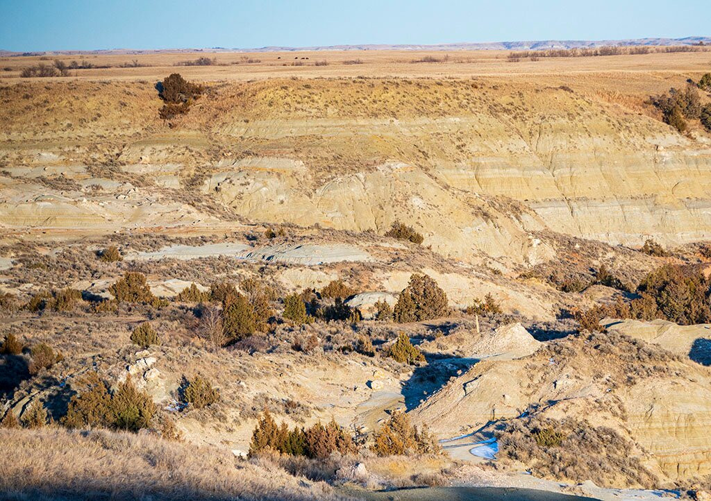 Petrified Forest Loop景点图片