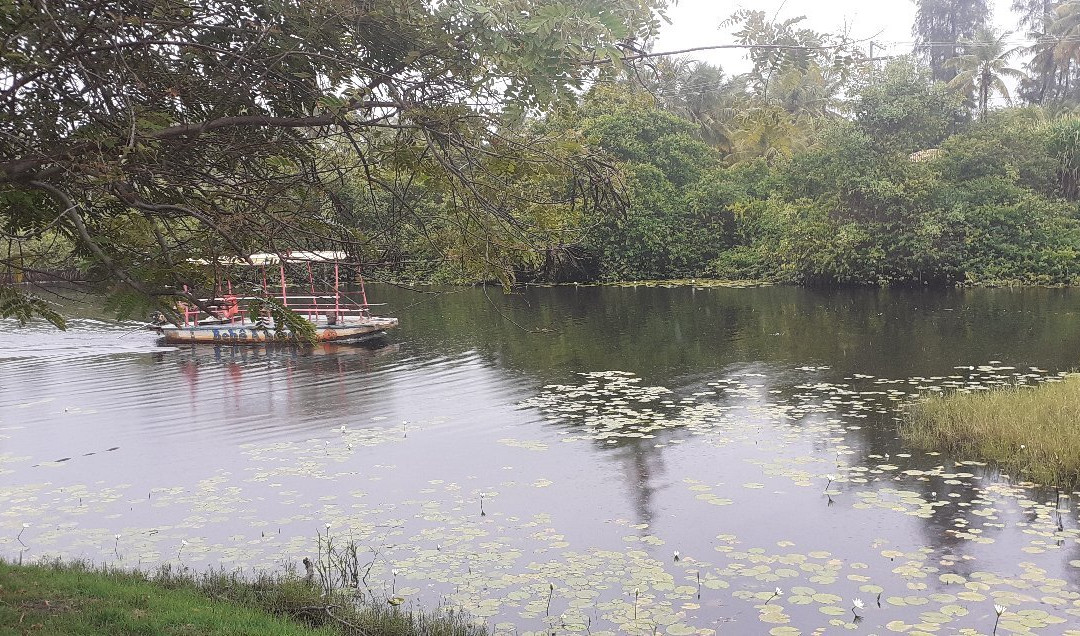 Imbassai Beach-普拉亚多海滩必去景点