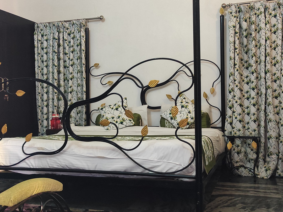 The Rukmani Bagh主图