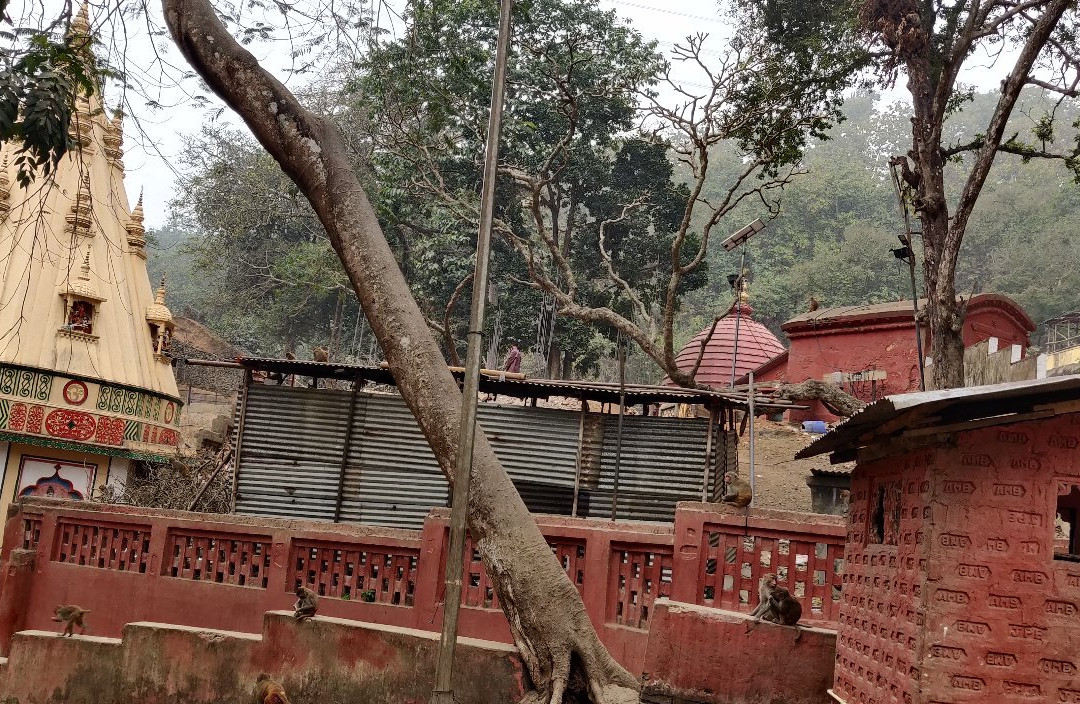 Basistha Ashram Temple景点图片