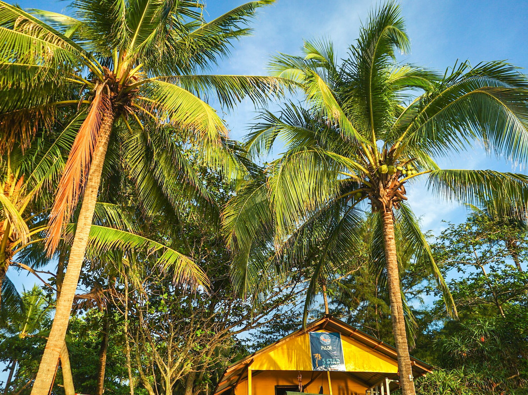 Panorama Diver-小停泊岛必去景点