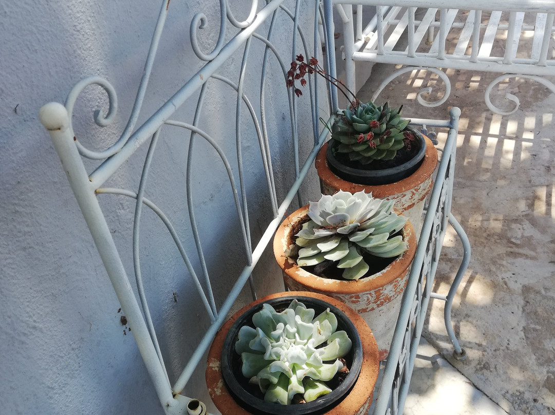 Riverbed Africa主图